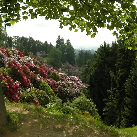 Starteri Appartamento Sordevolo