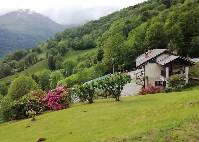 Starteri Apartment